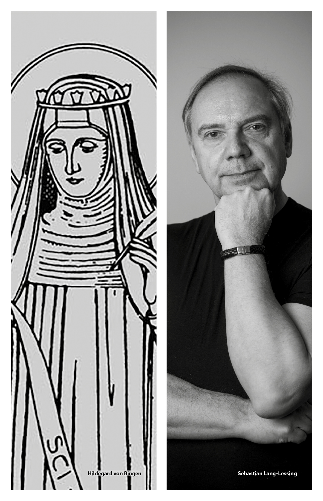 Foto_Wikimedia Commons / Leszek Januszewski